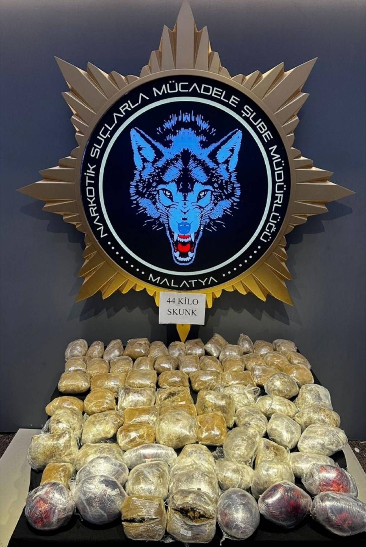 44 kilogram sentetik uyuşturucu ele geçirildi