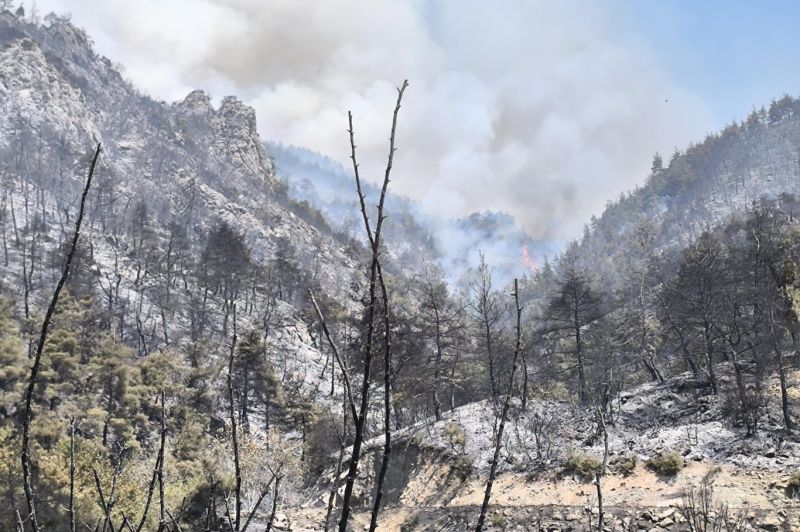 Bursa'da orman yangınıyla mücadele sürüyor