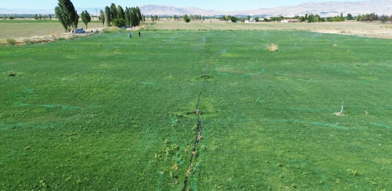 Battalgazi’de Yerli Üretimle Yeşil Alan Seferberliği