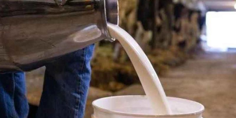 Kurtoğlu: Çiğ süt üretimindeki ihmaller halk sağlığını tehdit ediyor!