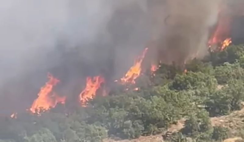 Doğanyol'da orman yangını: Ekipler seferber oldu