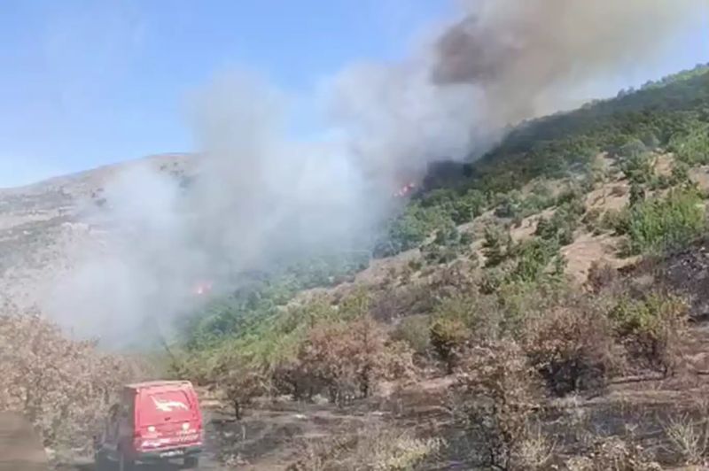 Doğanyol'daki orman yangını söndürüldü