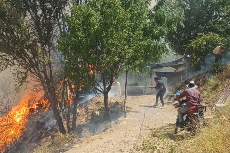 Malatya'da orman yangını: Bir ev alevlerin içerisinde kaldı