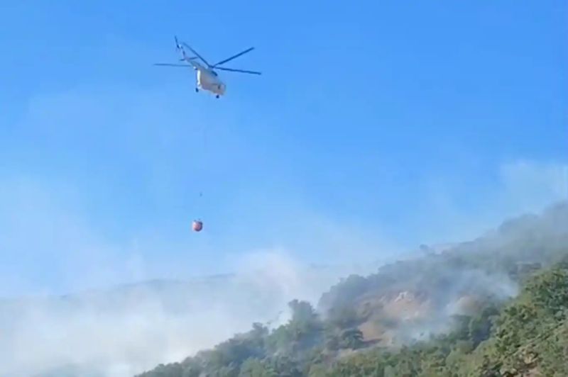 Malatya'da dün başlayan orman yangını kontrol altına alındı