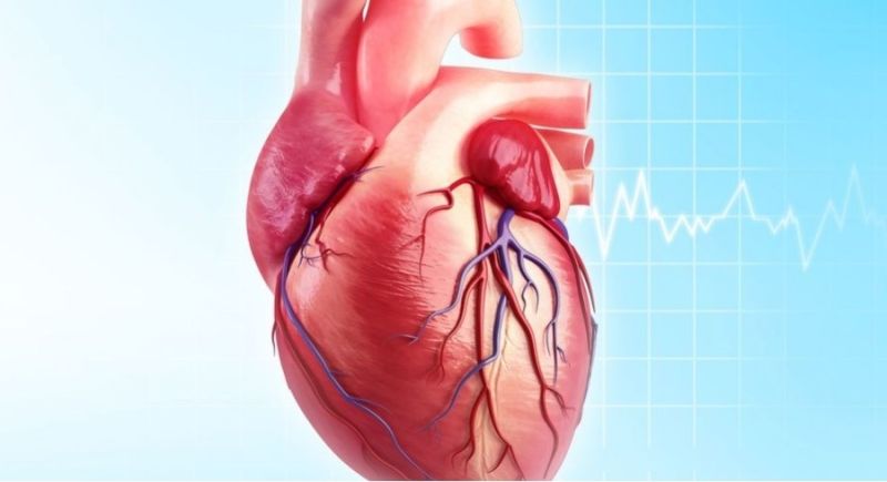 Koroner Arter Hastalığının 10 Önemli Nedeni!