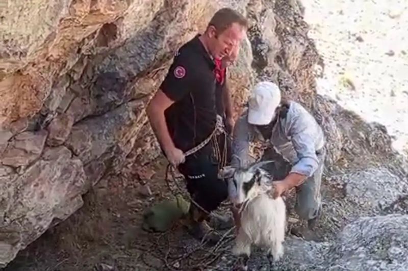 Malatya'da dağda mahsur kalan keçiler kurtarıldı
