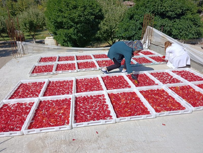 Doğanşehirli Kadınlar Üreterek Ev Ekonomisine Katkı Sağlıyor