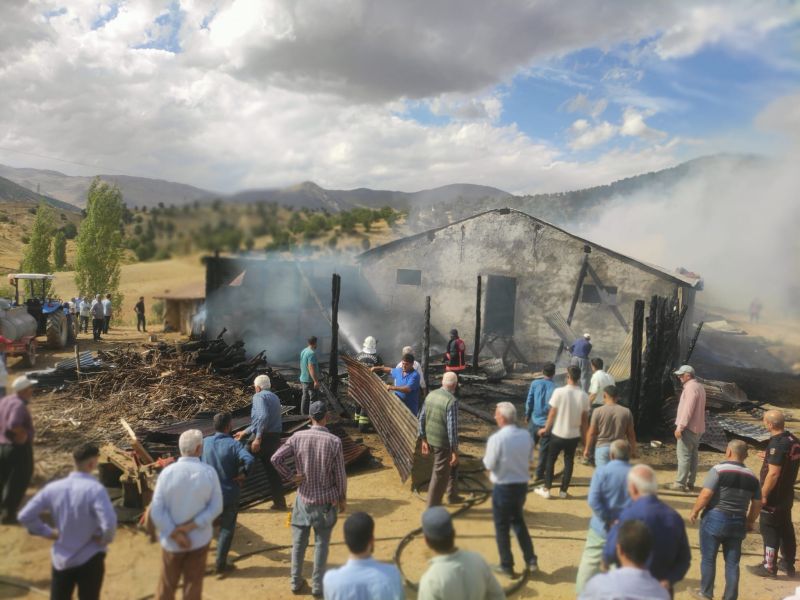 Doğanşehir’de ahır yangını: 10 büyükbaş telef oldu