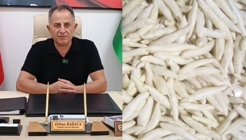 Darende Kenger Sakızı İçin Coğrafi İşaret Başvurusu