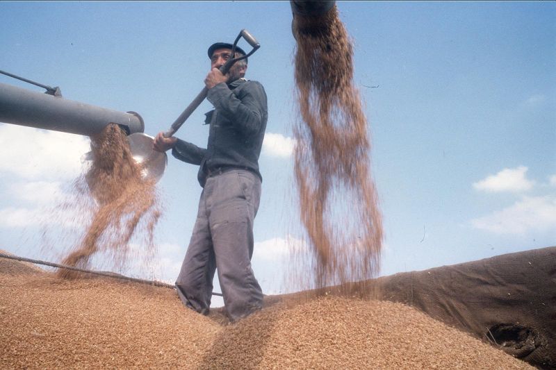 TMO’nun Yeni Satış Fiyatları Açıklandı