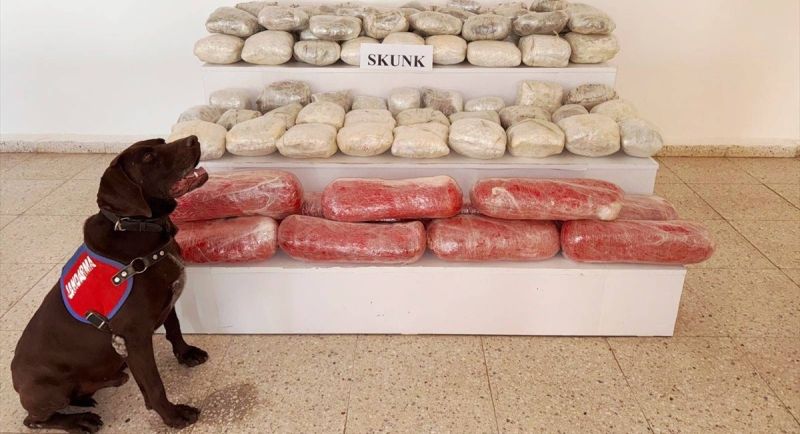 Van'da 61 kilo 900 gram skunk ele geçirildi