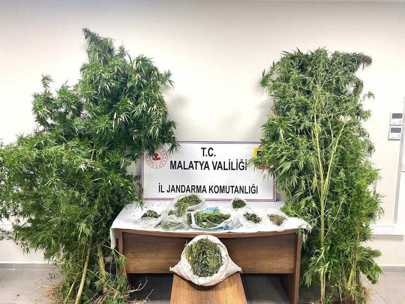 Malatya’da Uyuşturucu Operasyonlarında 16 Şüpheli Tutuklandı