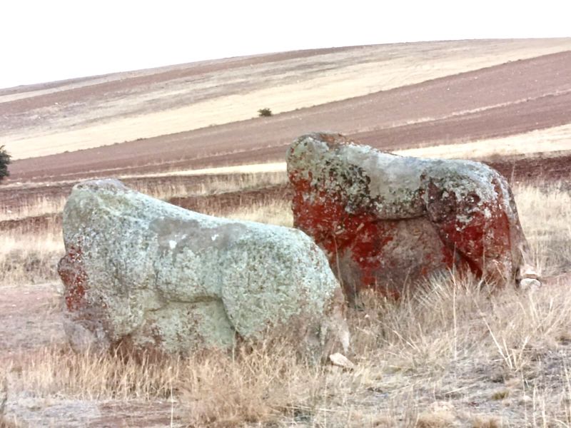 Bozkurt'tan Aslantaş Kararına Tepki: “Üç Bin Yıldır Kendini Koruyan Aslanı Kimse Götüremez”