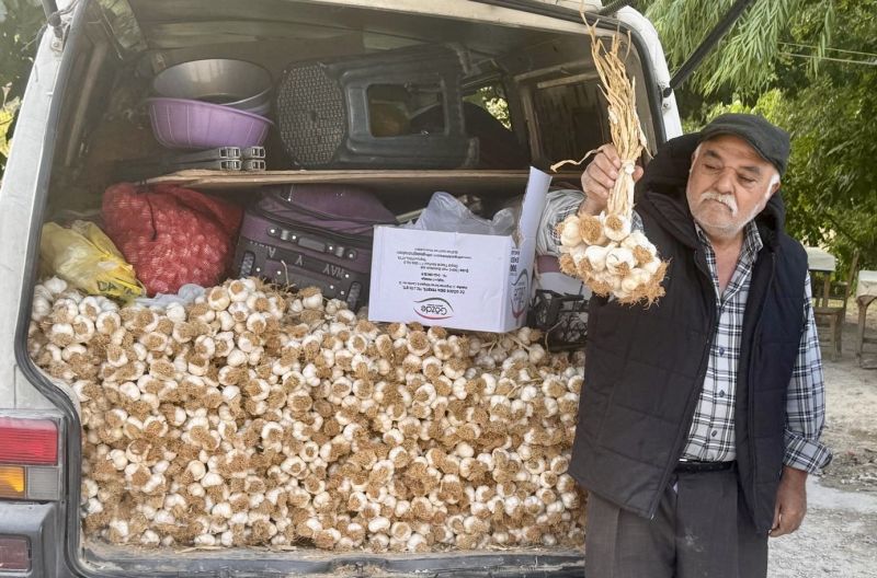 Taşköprü sarımsağı Darende’de ilgi görüyor