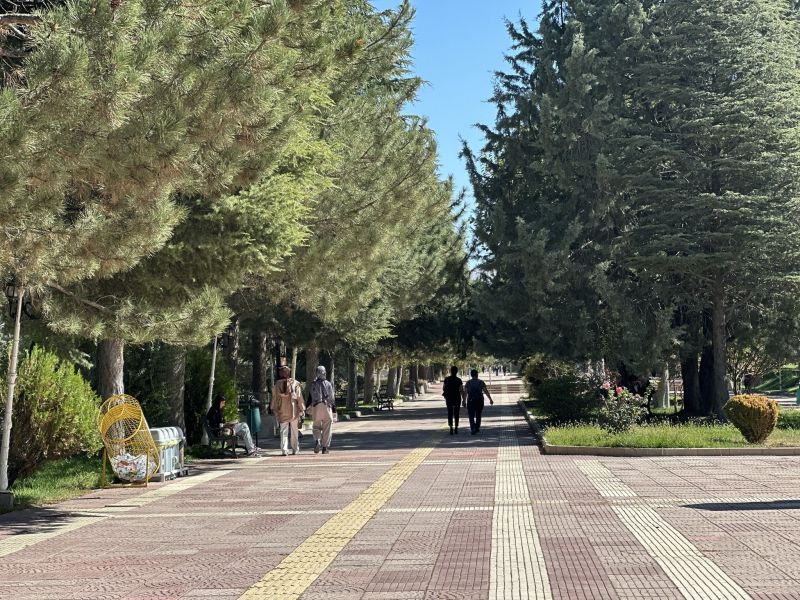 İnönü Üniversitesi Öğrencilerine Ücretsiz Ulaşım Müjdesi