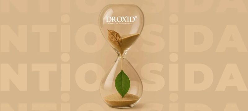 Zihin Gücü ve Hafıza: Antioksidanlar Beyin Fonksiyonlarını ve Nöronları Nasıl Korur?