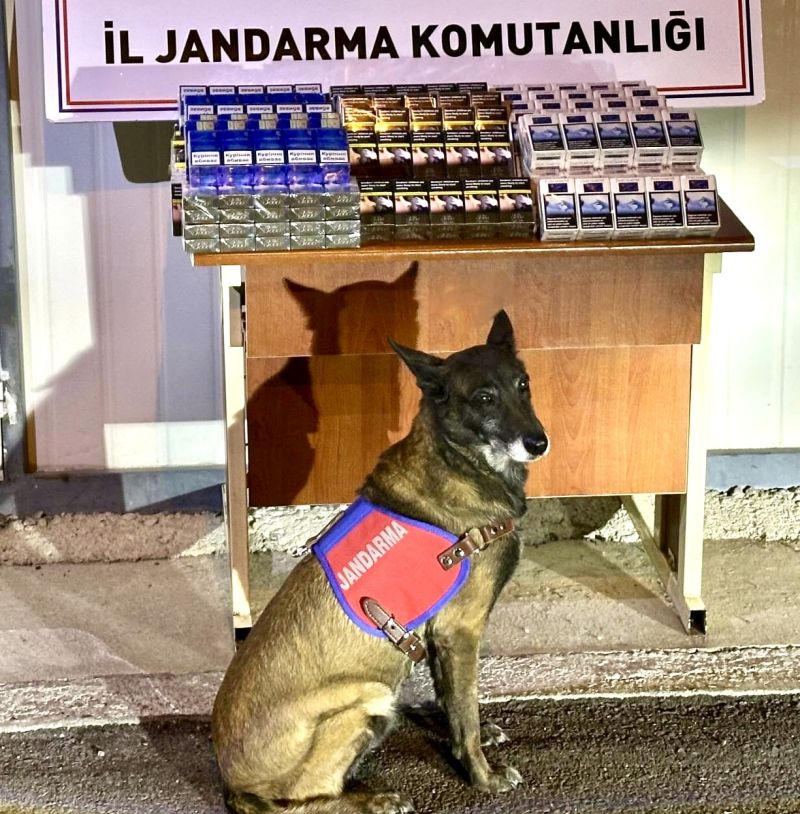 Malatya-Kayseri Yolunda Kaçak Sigara Operasyonu