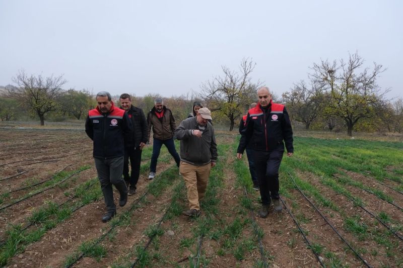 Yarımcahan’da Safran Atağı: Dekarda 900 Gram Başarı