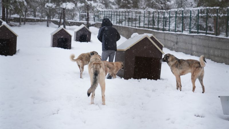 Battalgazi’de Malatya’nın İkinci Hayvan Barınağı Hizmete Başladı