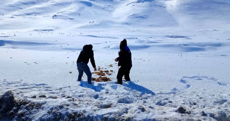 Doğanşehir’de Yaban Hayvanları İçin Örnek Duyarlılık