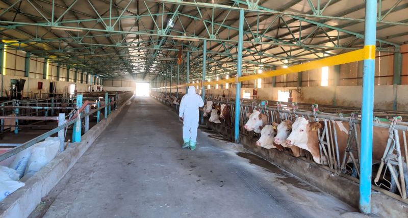 Hayvancılık İşletmeleri Kapasite Belirleme ve TÜRKVET’e Kayıt Çalışmaları Devam Ediyor