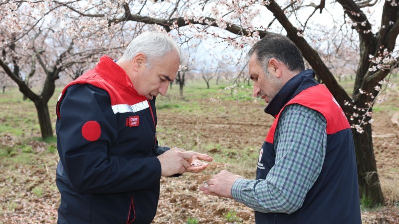 Malatya Tarım Müdürlüğü Dolu Etkisini İnceledi