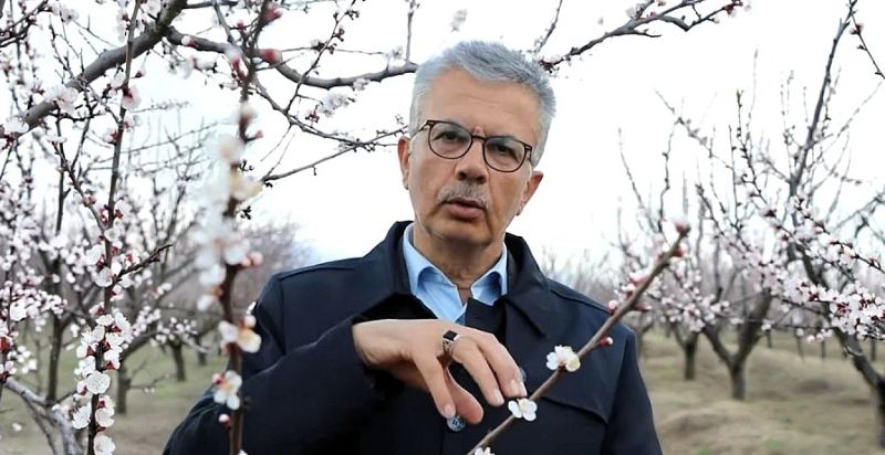 Kayısıda Kritik Uyarı: “-3 Derecede Tüm Ürün Kaybedilebilir”