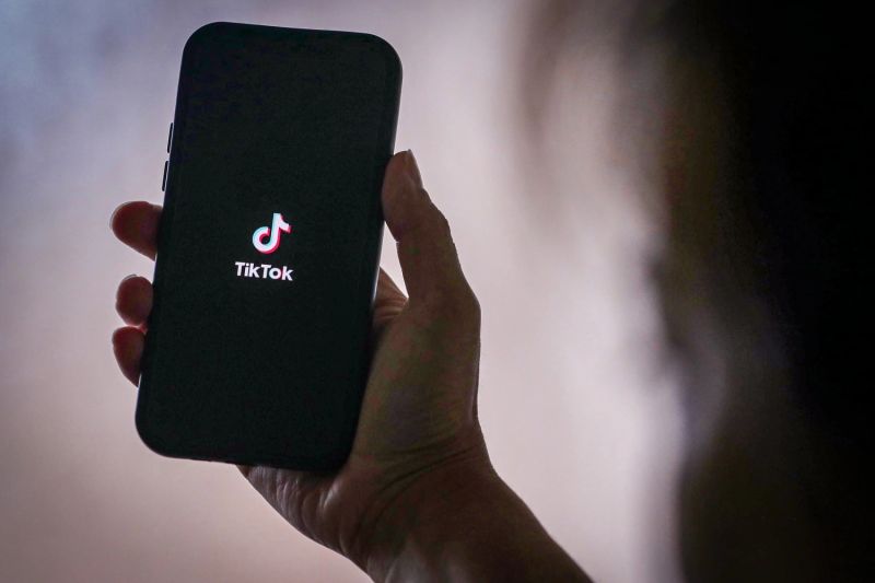 Koreografi Kayıtlarınızı Koruyan TikTok Video İndirici Rehberi