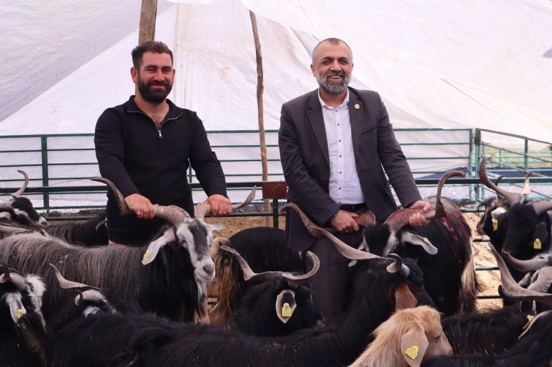 Kurban Pazarında Hareketlilik Başladı