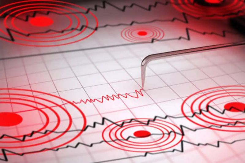 Japonya'da 5,9 Büyüklüğünde Deprem