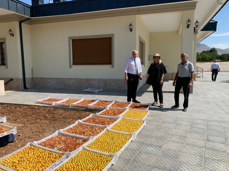 Tarım Müdürlüğünden Kayısı Bahçelerine Saha Çıkarması