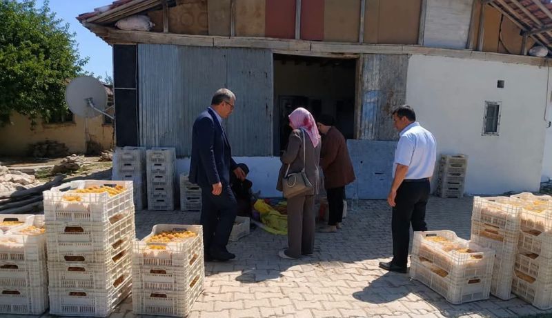 Başkan Duman: "Kayısıda Üreticinin Emeğini Korurken Dünya Pazarını da Kaybetmemeliyiz"