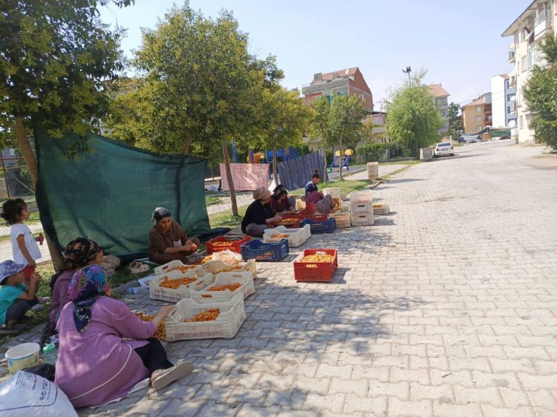 Başkan Duman: Kayısının Her Aşamasında Emeğin ve Emekçinin Yanındayız