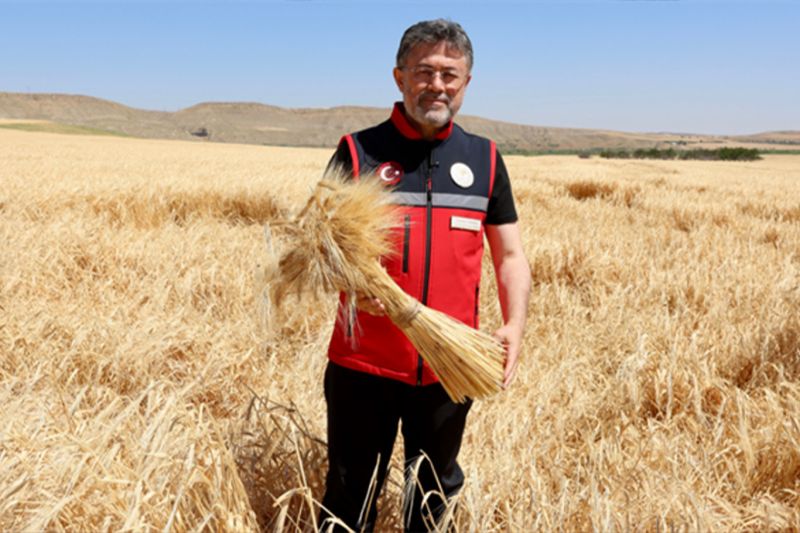 Bakan Yumaklı: TMO Üreticilere 120 Milyar Lira Ödeme Yaptı