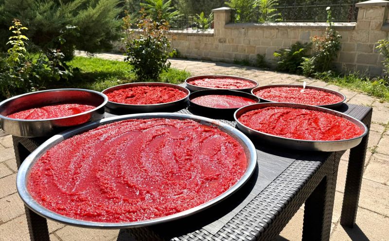 Darende'de Yazın Bereketi Kışa Saklanıyor