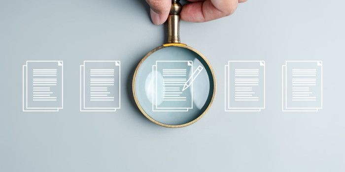 Son Mühür: İzmir’den Yükselen Bir Başarı Hikayesi