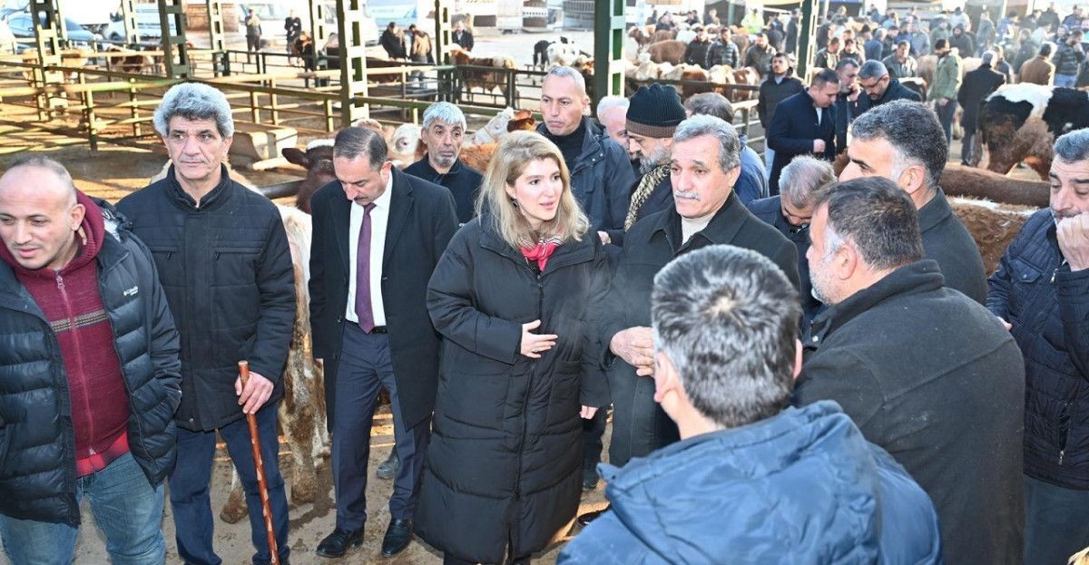 Malatya Canlı Hayvan Pazarı İçin Yeni Proje Geliyor
