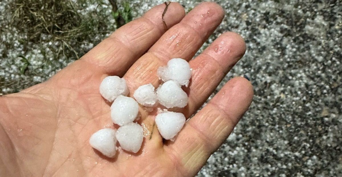 Keskin’den Milletvekillerine Çağrı, “Kayısı Üreticisine Sahip Çıkın”