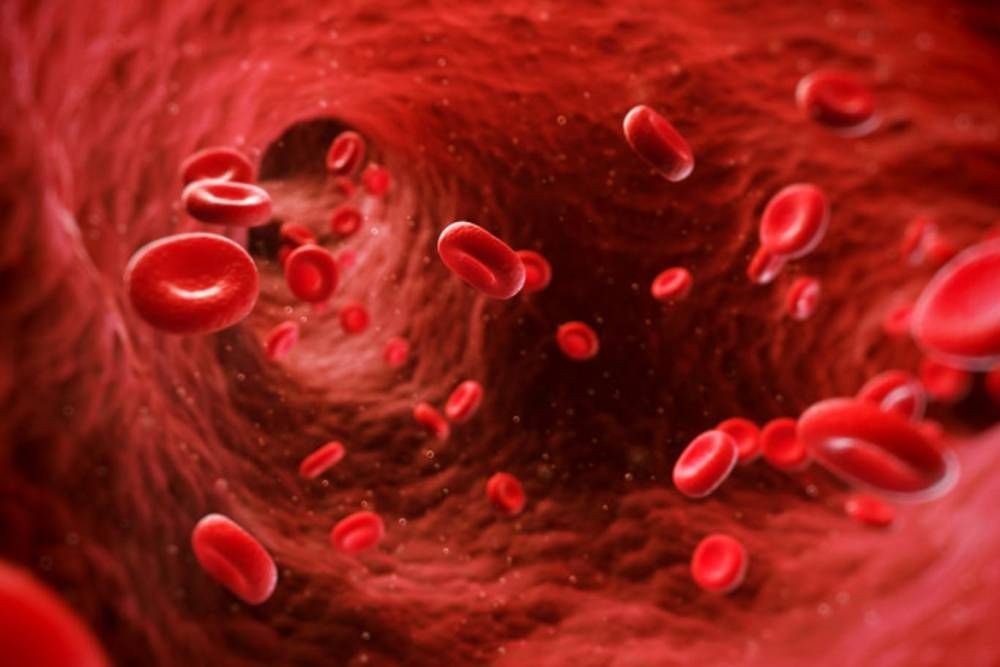 "Hemofilide erken teşhis ve düzenli tedavi hayat kurtarıyor"