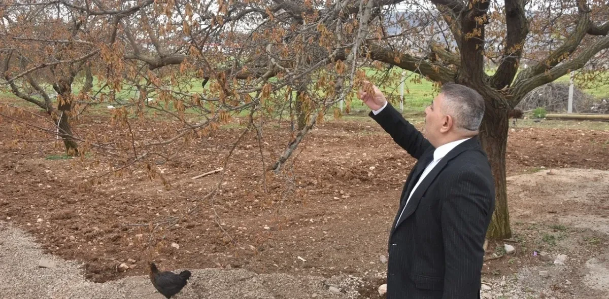 Sadıkoğlu: “Verilecek destekler sadece kayısıyı değil, şehrimizin geleceğini ilgilendiriyor”