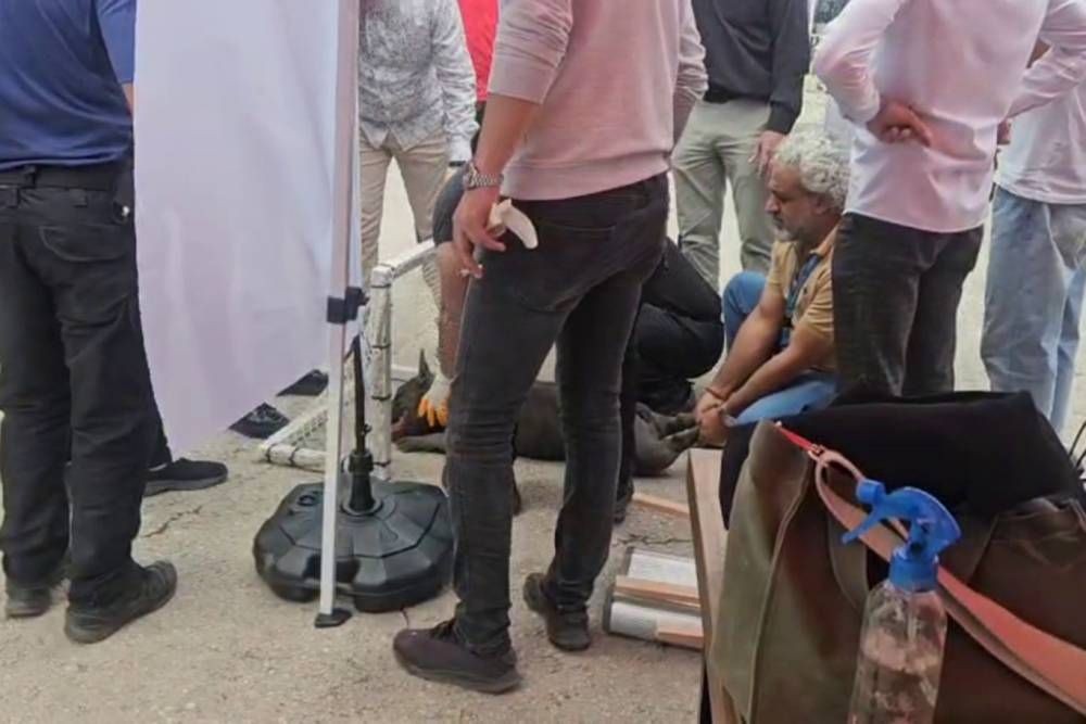 Malatya'da pitbull dehşeti: 2 yaralı