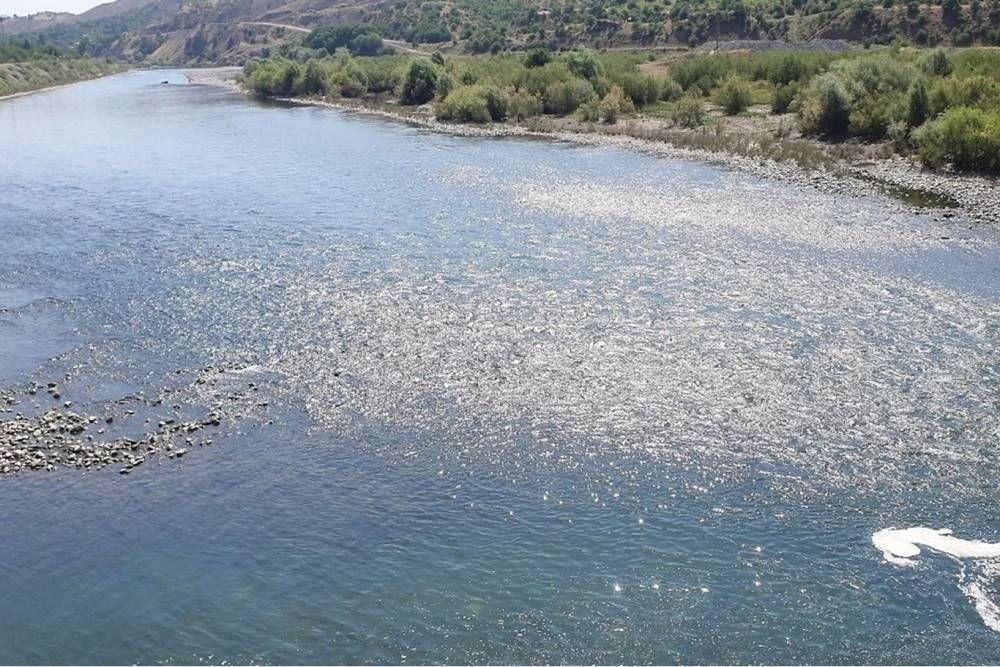 Elazığ'da nehre giren adam kayboldu