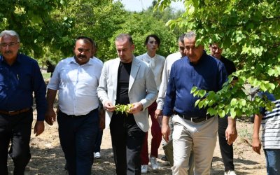 Karademir'den Kayısı İçin Acil Destek Çağrısı