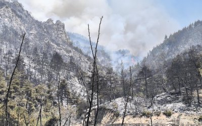 Bursa'da orman yangınıyla mücadele sürüyor