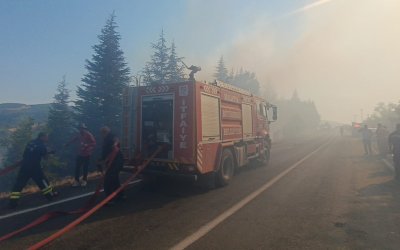 Orman yangınlarına havadan ve karadan müdahale