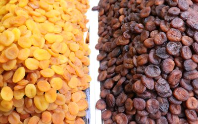 MTB Başkanı Özcan: Zirai dona rağmen ihracat geliri 377 milyon doları aştı