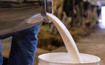 Kurtoğlu: Çiğ süt üretimindeki ihmaller halk sağlığını tehdit ediyor!