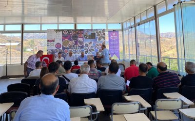 Arapgir Belediyesi’ne Ait Taşınmaz Arsalar Açık Teklif Usulüyle Satıldı