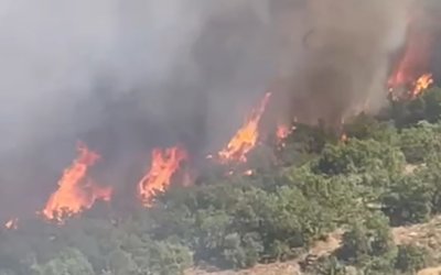 Doğanyol'da orman yangını: Ekipler seferber oldu