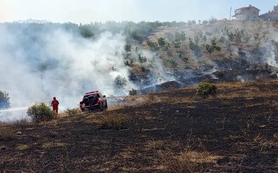 Malatya'da bir orman yangını daha